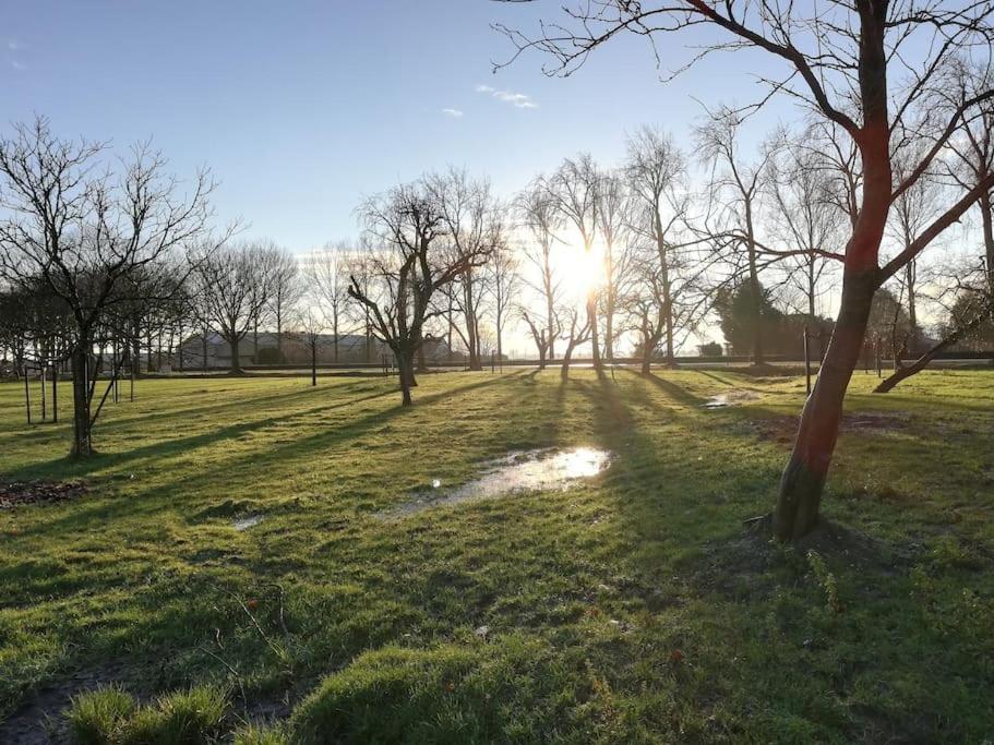 'T Winkeltje - Vakantiehuisje Op Boerderij Huize Blokland Hem Exteriör bild